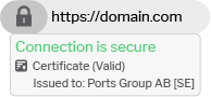 EV certificate for SSL how it looks